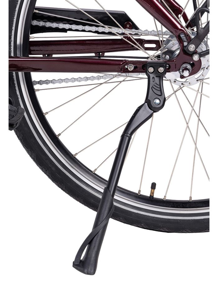 E-Bike Comfort Plus 5.0 von Saxonette 