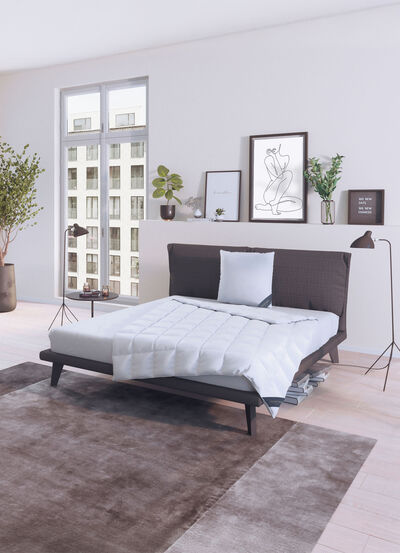 Hochwertige Daunendecken-Serie von Spessarttraum  Hochwertige Daunendecken-Serie von Spessarttraum