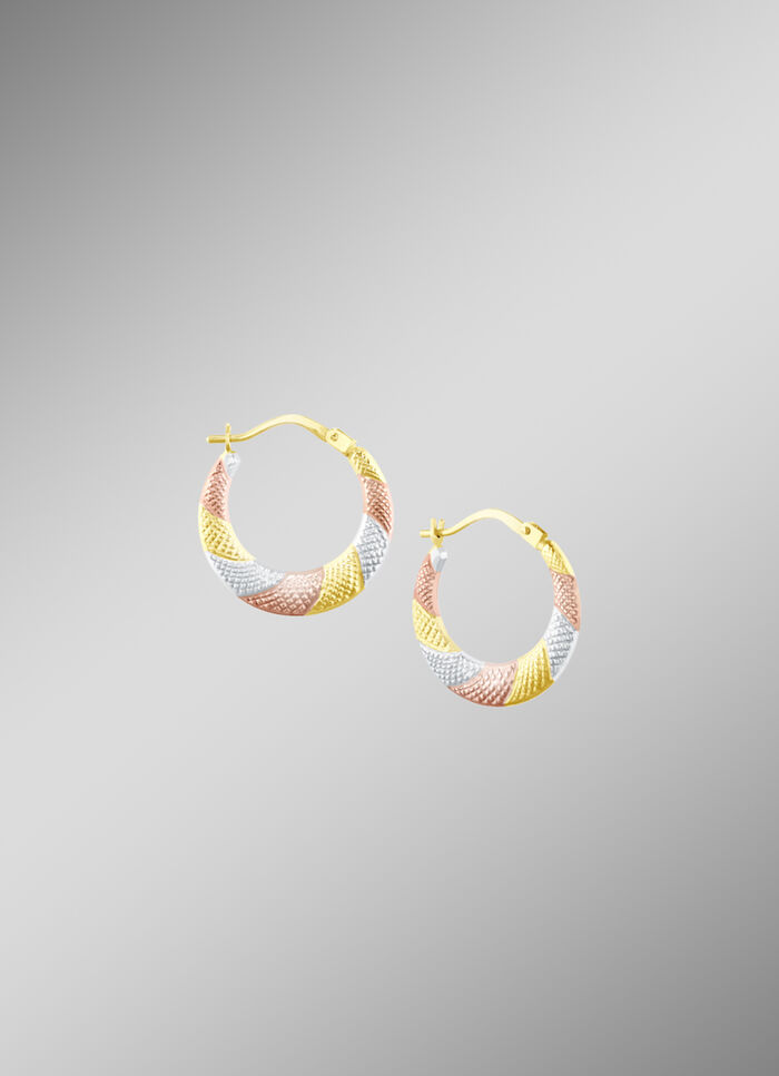Creolen in Tricolor 