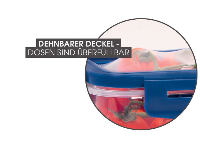Livington Flex and Fresh Frischhalte-Set BLAU