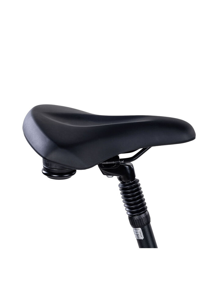 E-Bike Comfort Plus 5.0 von Saxonette 