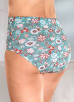 Viererpack Slips mit Gummizug im Bund 