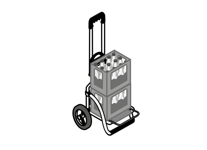 Leichter und leiser Einkaufsroller Royal Shopper GRAU