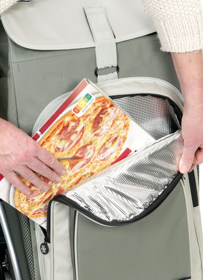 Leichter und leiser Einkaufsroller Royal Shopper GRAU