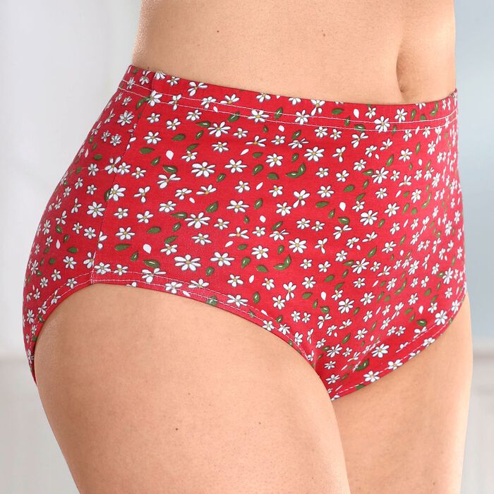 Viererpack Slips mit Blumenmotiv 