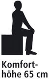BADERde_CH1Logo_Komforthoehe_65cm
