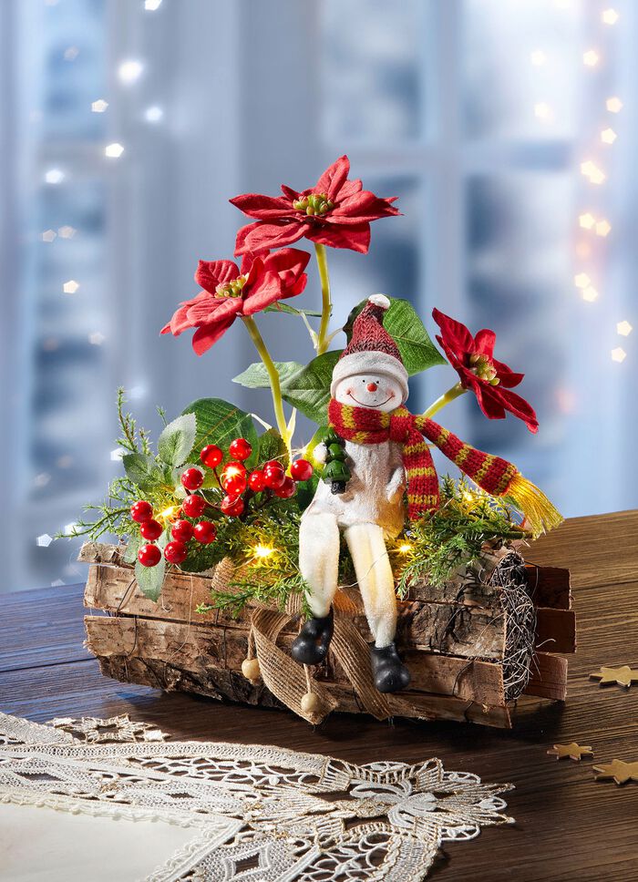 Beleuchtetes Poinsettia-Arrangement 