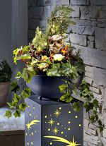 Beleuchteter Kranz mit Eule 