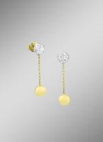 Bezaubernde Ohrstecker in Bicolor