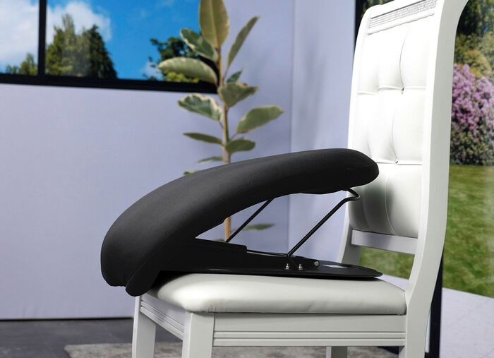 Wellys&reg; Aufsteh- und Hinsetzhilfe 