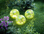 LED-Glaskugeln «Schmetterling», 3er-Set 