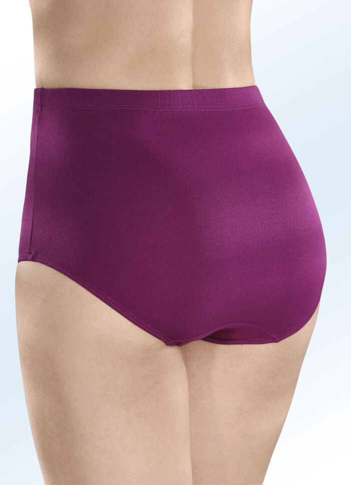 Fünferpack Slips mit Dehnbund WEINROT