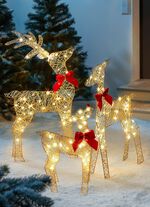 Rentierfamilie, 3er Set 