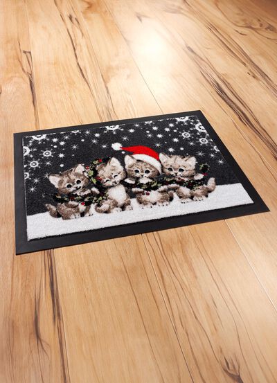 Fussmatte mit rutschhemmend beschichteter R&uuml;ckseite 