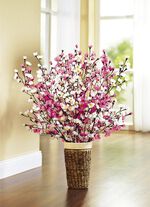 Kirschblütenzweige, 5er-Set WEISS