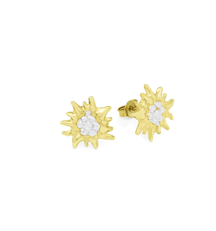 Edelweiss-Ohrstecker in Bicolor