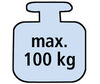 BADERde_CH1max_100kg_N_detail