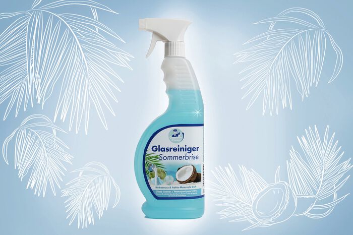 Glasreiniger-Set 