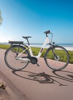 City-E-Bike RC836 von TELEFUNKEN 