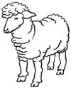 BADERde_CH1Logo_Lamm