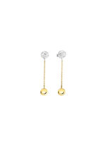 Wunderschöne Ohrstecker in Bicolor 