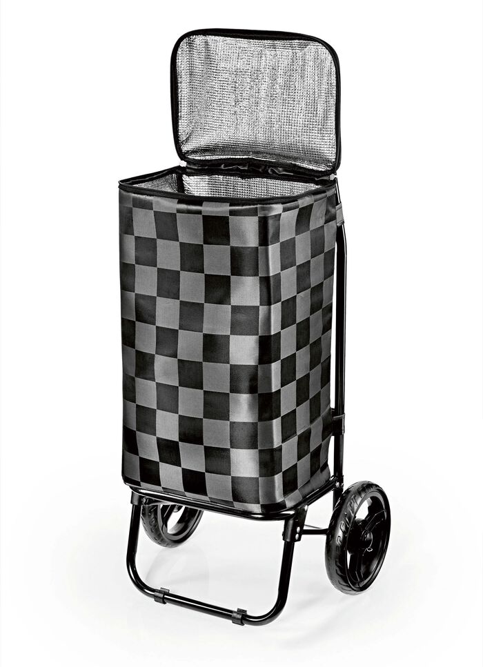 EASYmaxx Einkaufsroller 