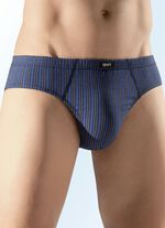 Mehrfachpack Slips mit Streifendessin 