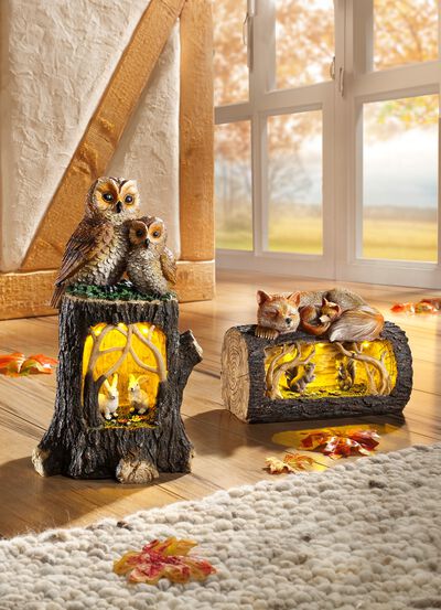 Beleuchteter Baumstamm 