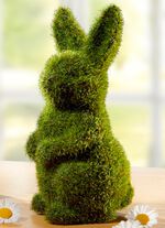 Dekoh&auml;schen GR&Uuml;N