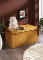 Vielseitige Truhe in toller moderner Optik FICHTE