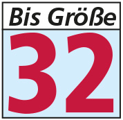 Logo_BisGroesse32