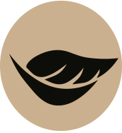 Logo_Weich