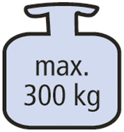 Logo_max300kg